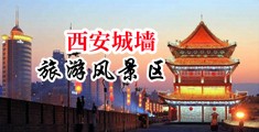 大鸡巴干女人逼毛的视频中国陕西-西安城墙旅游风景区